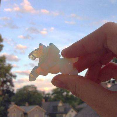 澳门新莆京游戏大厅截图