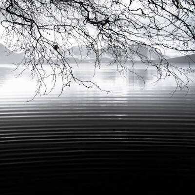 足球滚球的正规平台app手机app下载