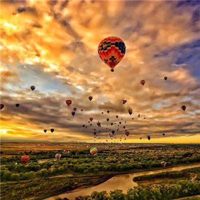 mg娱乐电子游戏官网