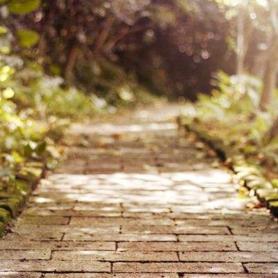 NG体育APP官方下载网址app下载